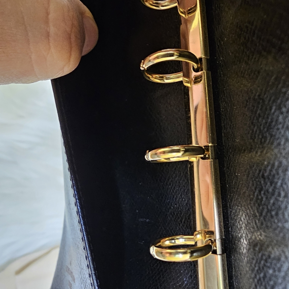 Vintage Louis Vuitton Epi Medium Agenda Cover Blue - Picture 9 of 17